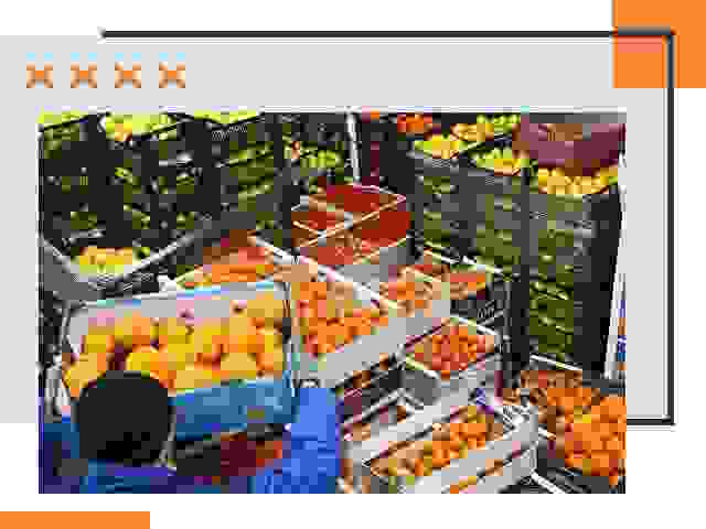 Перевозка скоропортящихся продуктов в Белогорске